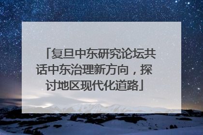 复旦中东研究论坛共话中东治理新方向，探讨地区现代化道路