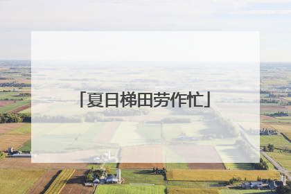 夏日梯田劳作忙