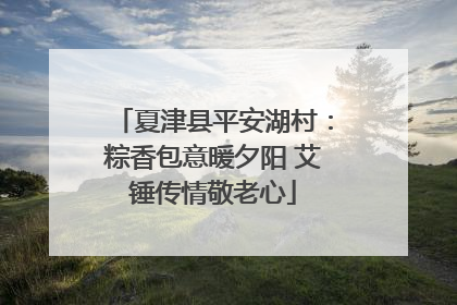 夏津县平安湖村：粽香包意暖夕阳 艾锤传情敬老心