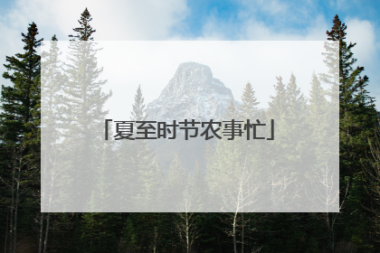 夏至时节农事忙