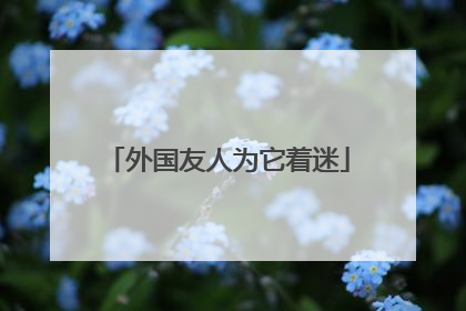 外国友人为它着迷