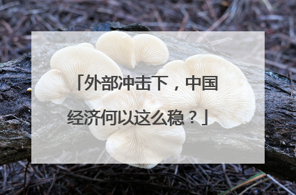 外部冲击下，中国经济何以这么稳？
