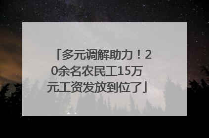 多元调解助力！20余名农民工15万元工资发放到位了