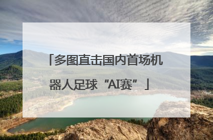 多图直击国内首场机器人足球“AI赛”