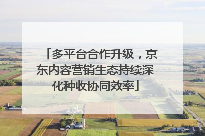 多平台合作升级，京东内容营销生态持续深化种收协同效率