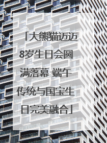 大熊猫迈迈8岁生日会圆满落幕 端午传统与国宝生日完美融合
