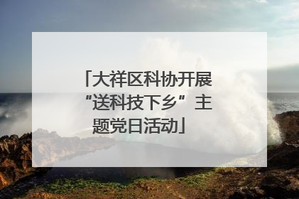 大祥区科协开展“送科技下乡”主题党日活动