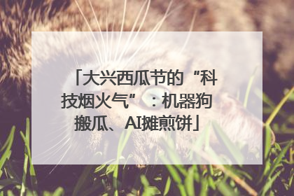 大兴西瓜节的“科技烟火气”：机器狗搬瓜、AI摊煎饼