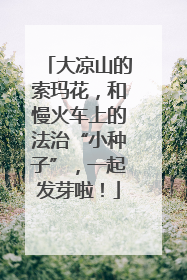 大凉山的索玛花，和慢火车上的法治“小种子”，一起发芽啦！