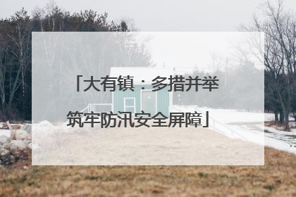 大有镇：多措并举筑牢防汛安全屏障