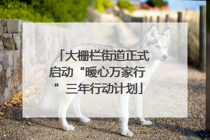 大栅栏街道正式启动“暖心万家行”三年行动计划