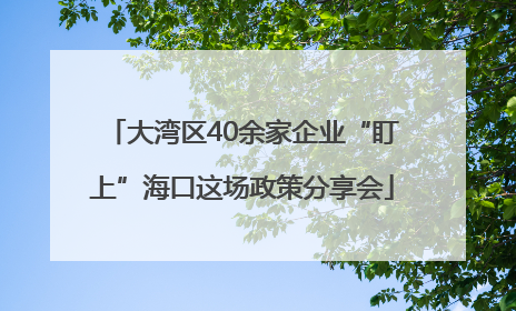 大湾区40余家企业“盯上”海口这场政策分享会