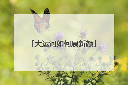 大运河如何展新颜