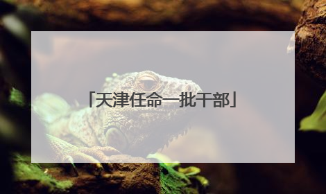 天津任命一批干部