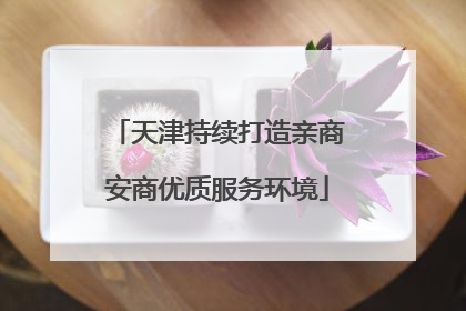 天津持续打造亲商安商优质服务环境