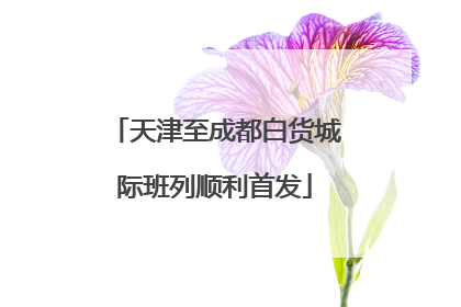 天津至成都白货城际班列顺利首发