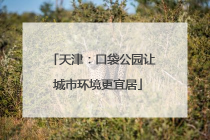 天津：口袋公园让城市环境更宜居