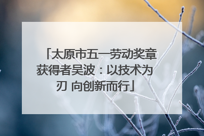 太原市五一劳动奖章获得者吴波：以技术为刃 向创新而行