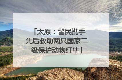 太原：警民携手 先后救助两只国家二级保护动物红隼