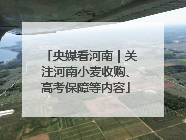 央媒看河南｜关注河南小麦收购、高考保障等内容