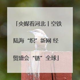 央媒看河北丨空铁陆海“织”新网 经贸盛会“链”全球