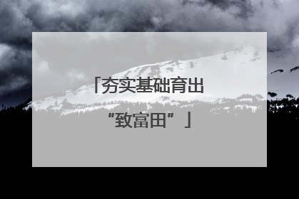 夯实基础育出“致富田”