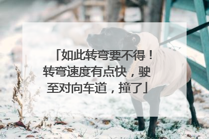 如此转弯要不得！转弯速度有点快，驶至对向车道，撞了