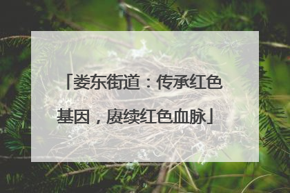 娄东街道：传承红色基因，赓续红色血脉
