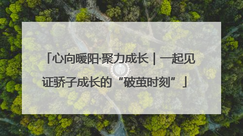 心向暖阳·聚力成长｜一起见证骄子成长的“破茧时刻”