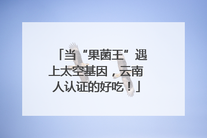 当“果菌王”遇上太空基因，云南人认证的好吃！
