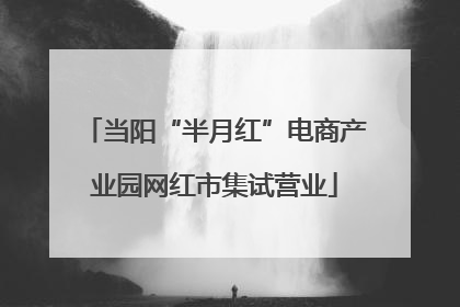 当阳“半月红”电商产业园网红市集试营业
