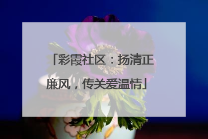彩霞社区：扬清正廉风，传关爱温情