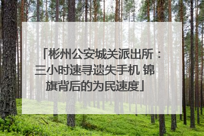 彬州公安城关派出所：三小时速寻遗失手机 锦旗背后的为民速度