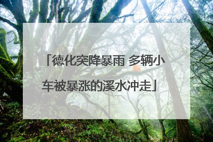 德化突降暴雨 多辆小车被暴涨的溪水冲走