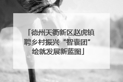 德州天衢新区赵虎镇聘乡村振兴“智囊团” 绘就发展新蓝图