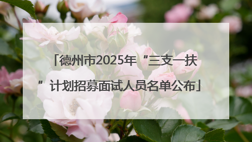 德州市2025年“三支一扶”计划招募面试人员名单公布