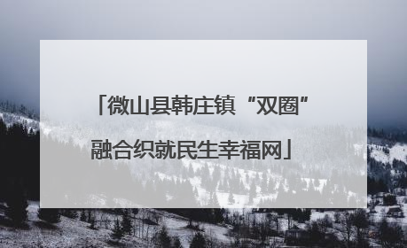 微山县韩庄镇“双圈”融合织就民生幸福网