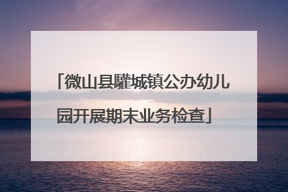 微山县驩城镇公办幼儿园开展期末业务检查