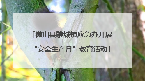 微山县驩城镇应急办开展“安全生产月”教育活动