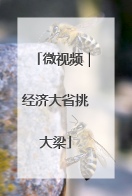 微视频｜经济大省挑大梁