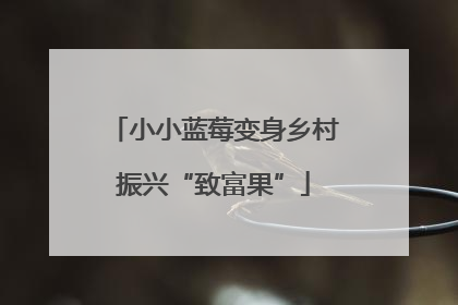小小蓝莓变身乡村振兴“致富果”