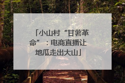 小山村“甘薯革命”：电商直播让地瓜走出大山