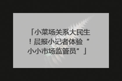 小菜场关系大民生！晨报小记者体验“小小市场监管员”