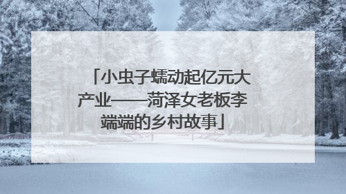 小虫子蠕动起亿元大产业——菏泽女老板李端端的乡村故事