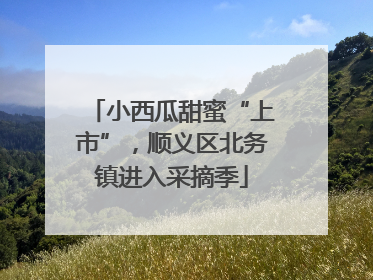 小西瓜甜蜜“上市”，顺义区北务镇进入采摘季