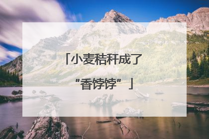 小麦秸秆成了“香饽饽”