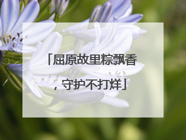 屈原故里粽飘香，守护不打烊
