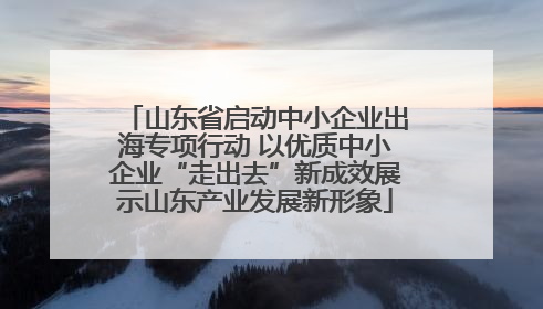 山东省启动中小企业出海专项行动 以优质中小企业“走出去”新成效展示山东产业发展新形象