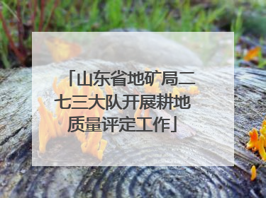 山东省地矿局二七三大队开展耕地质量评定工作