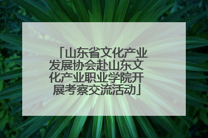 山东省文化产业发展协会赴山东文化产业职业学院开展考察交流活动